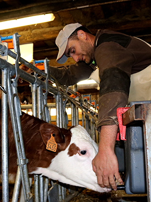 Visite libre et gratuite de la Ferme à Méaudre