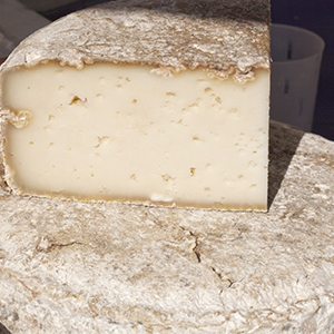 Production de fromages en isère